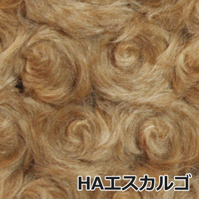 HAエスカルゴ